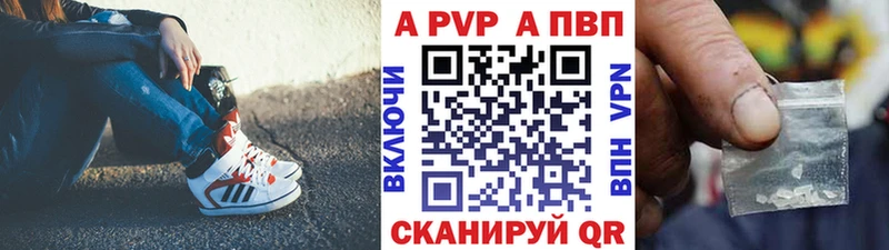 A-PVP СК КРИС  Гусев 