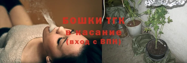 Альфа ПВП Бородино