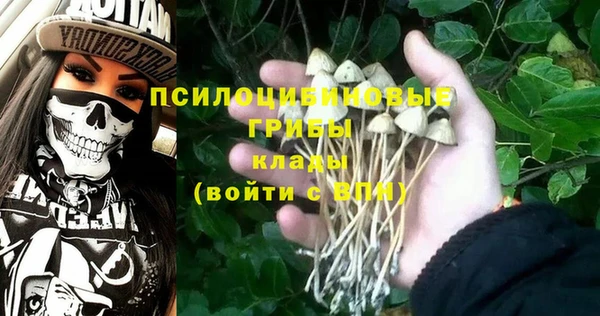стаф Бронницы