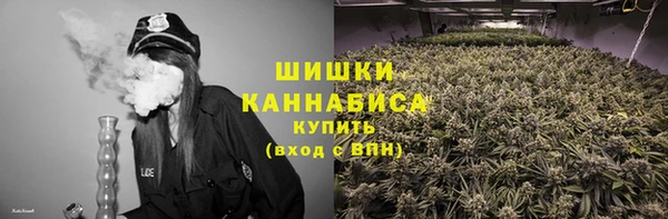 стаф Бронницы