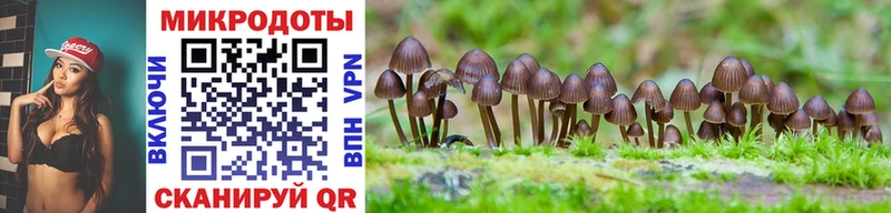 Галлюциногенные грибы GOLDEN TEACHER  цена наркотик  Гусев 