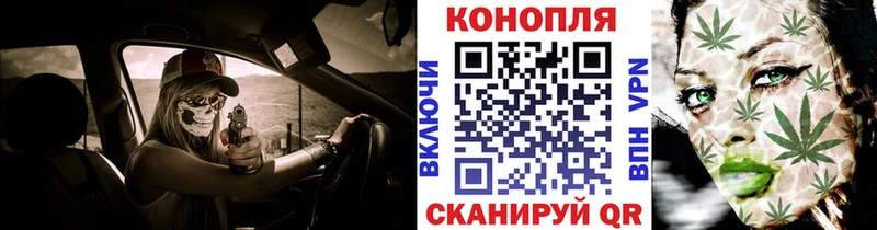 купить наркоту  блэк спрут как зайти  Бошки Шишки Ganja  Гусев 